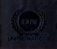 united-nations.jpg