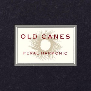 old-canes
