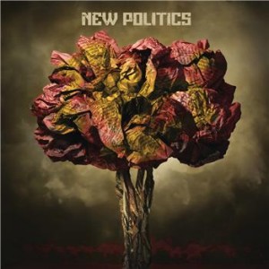 new_politics_3
